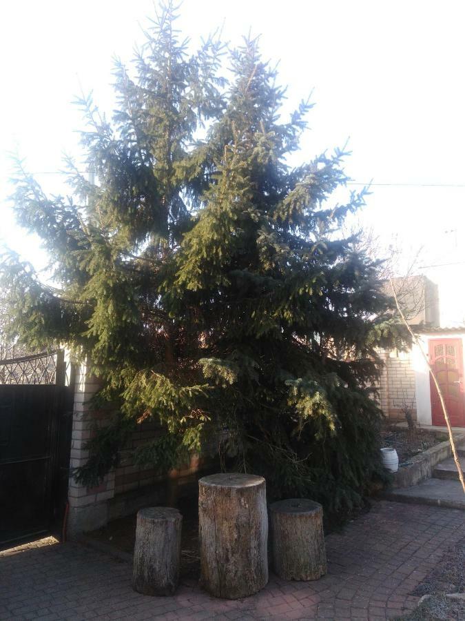 Апартаменты у моря Вапнярка Екстериор снимка